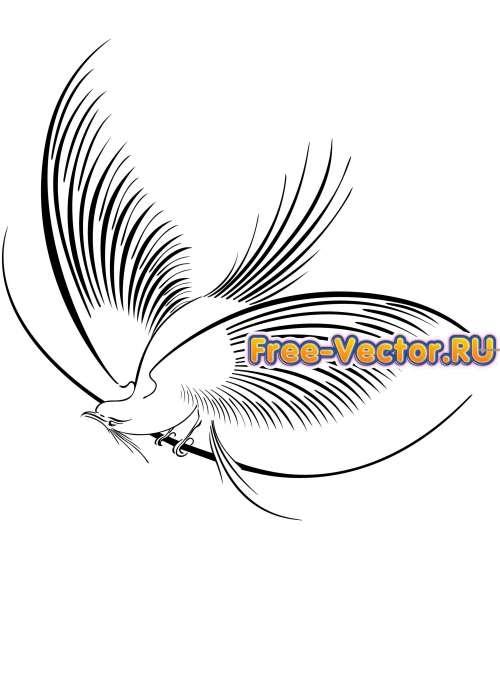 Птичка формат eps 2778